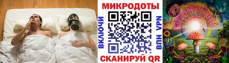 где найти наркотики Александровское Галлюциногенные грибы GOLDEN TEACHER