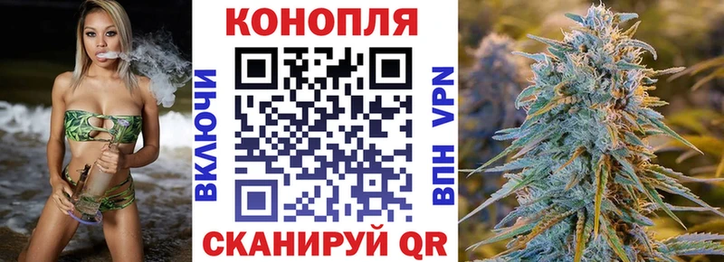 Канабис марихуана Александровское